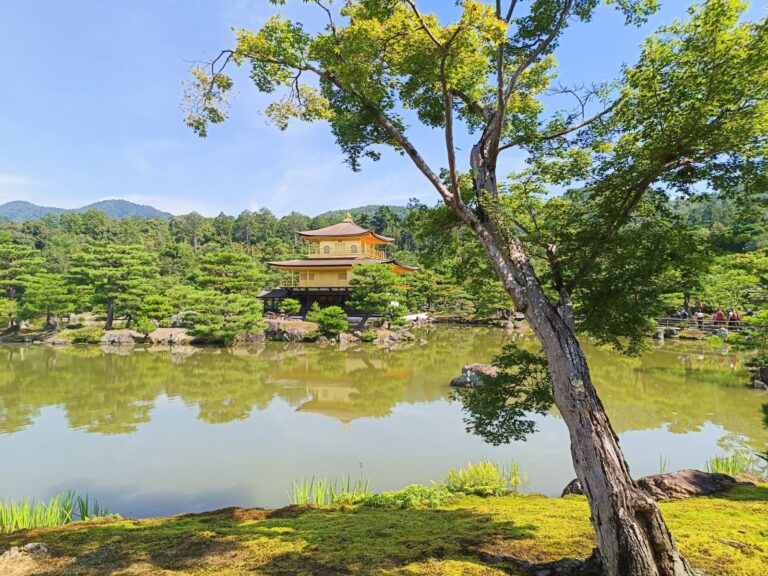מקדש הזהב בקיוטו יפן