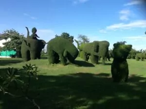 road 211 sculpture in the bushes