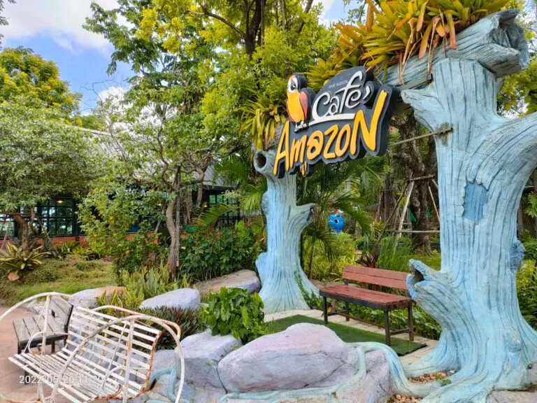 amazom coffe thailand