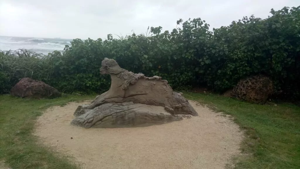 Yehliu Geopark "הנמר"