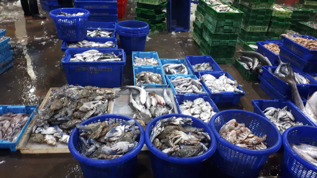 Mae Klong Fish Market