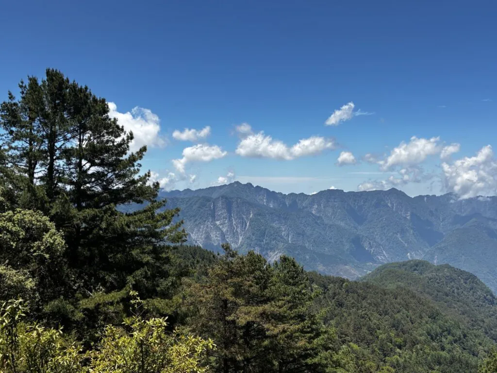 Alishan Taiwan