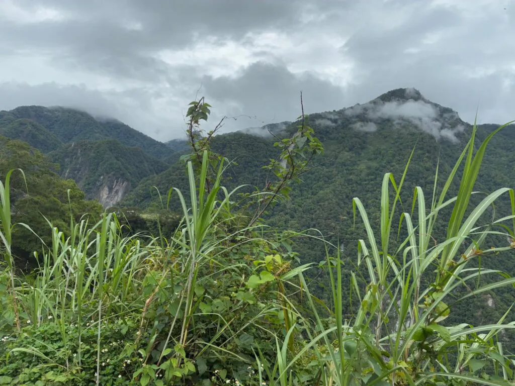 שמורת הטארוקו טאיוואן