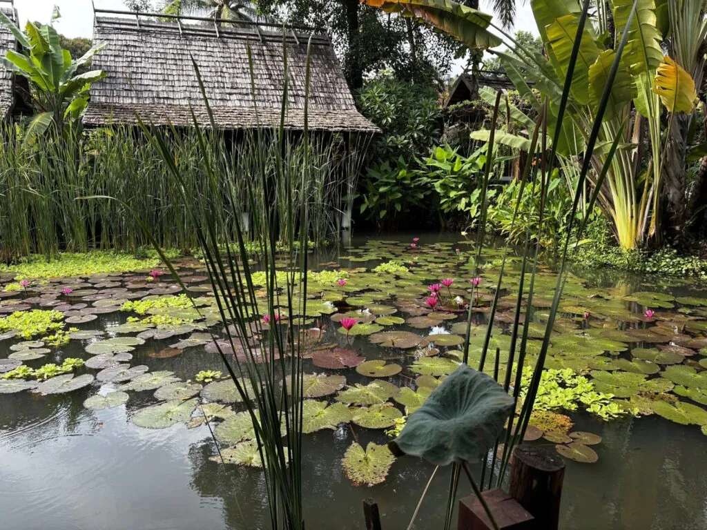 Maison Dalabua לואנג פרנג לאוס