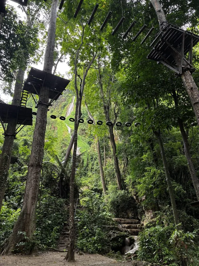  Green Jungle Park לאוס