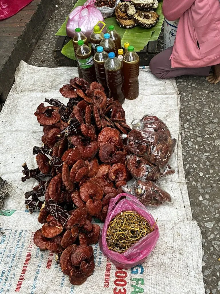 שוק בוקר במרכז לואנג פרבנג לאוס