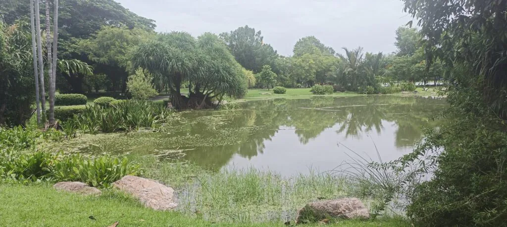 Rommani Garden