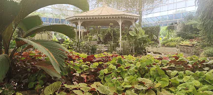 Rommani Garden
