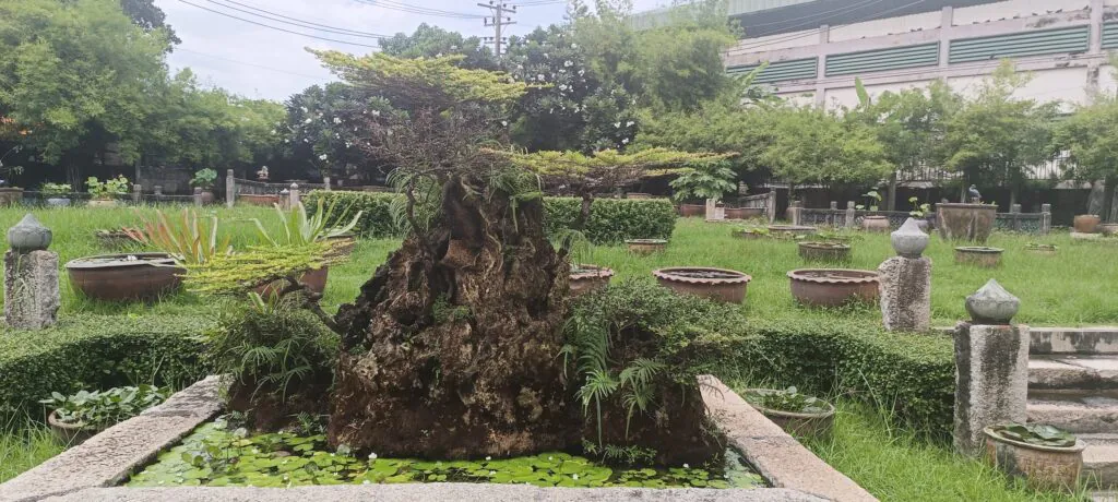 Rommani Garden