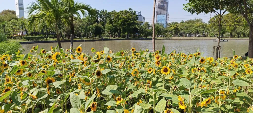 Chatuchak Park