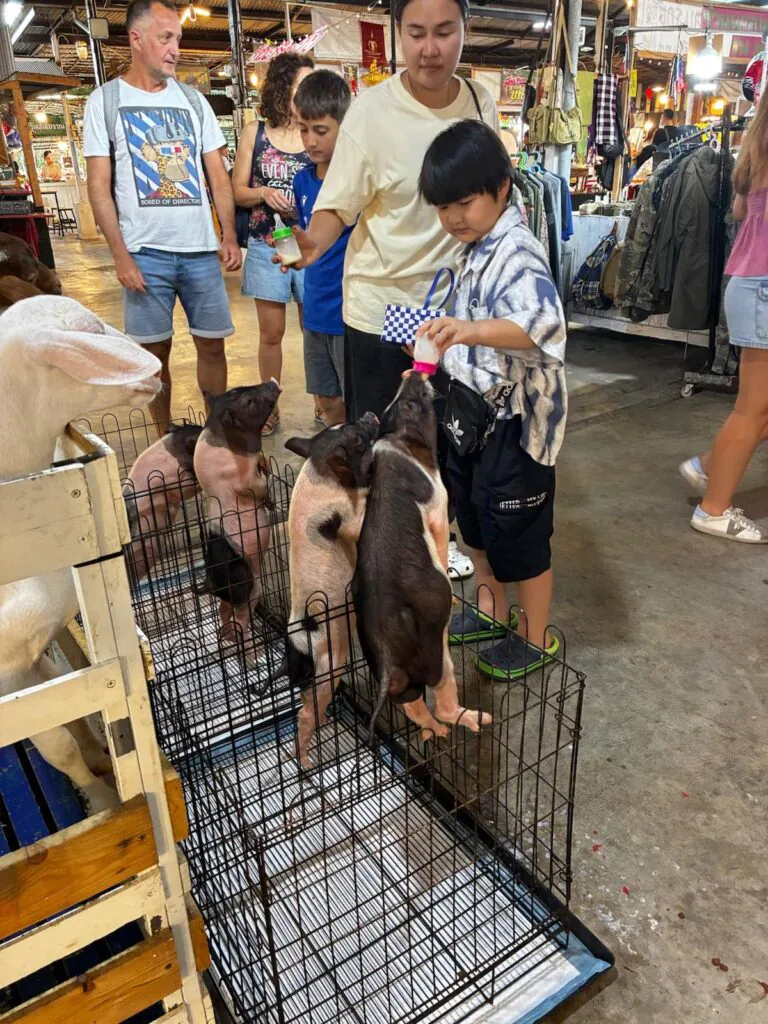 Klong Lat Mayom Floating Marke