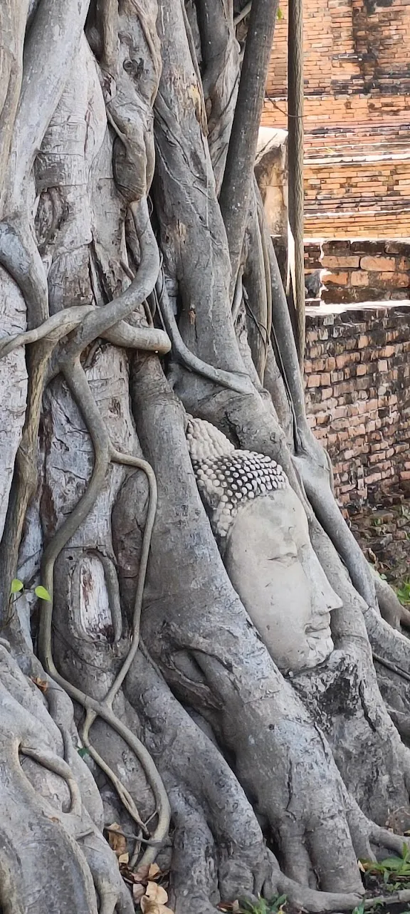 טיול יום ל-איוטהאיה