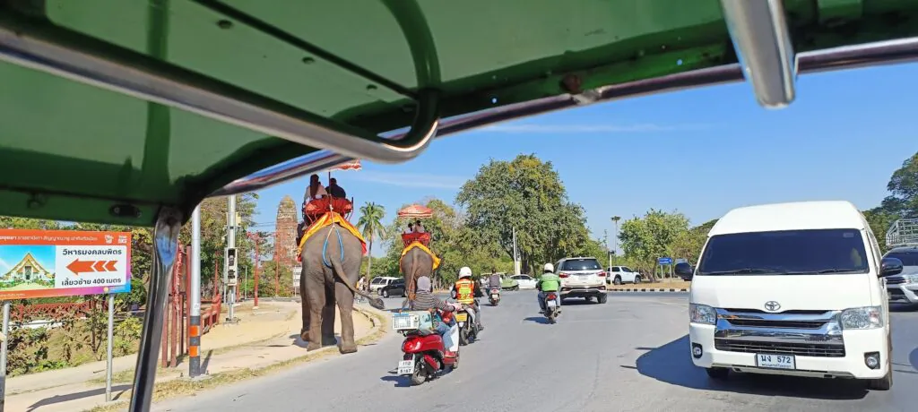 פילים ב-איוטהאיה