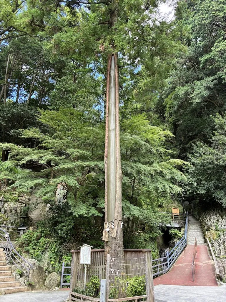 Sasaguri Nanzoin