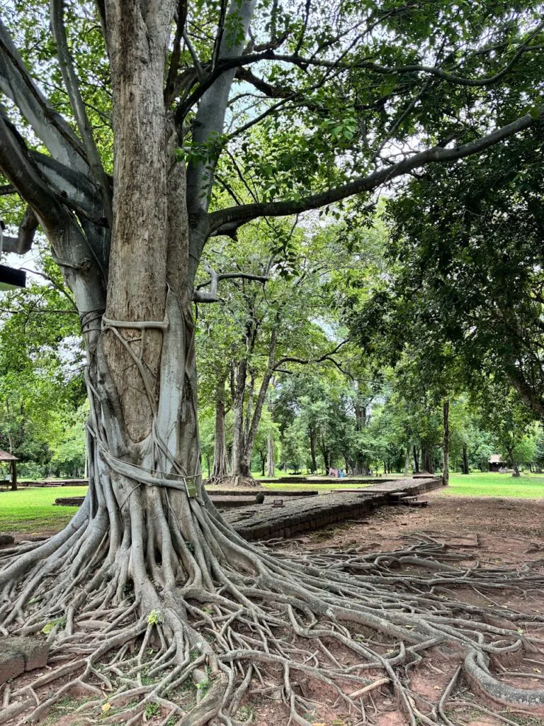 Si Thep Historical Park