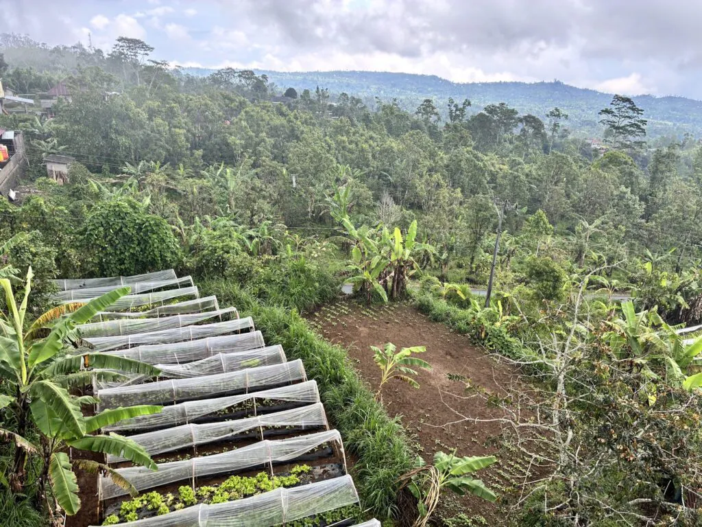 Munduk Moding Plantation Nature Resort