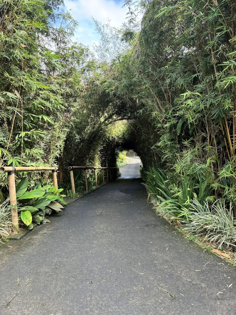 Munduk Moding Plantation Nature Resort
