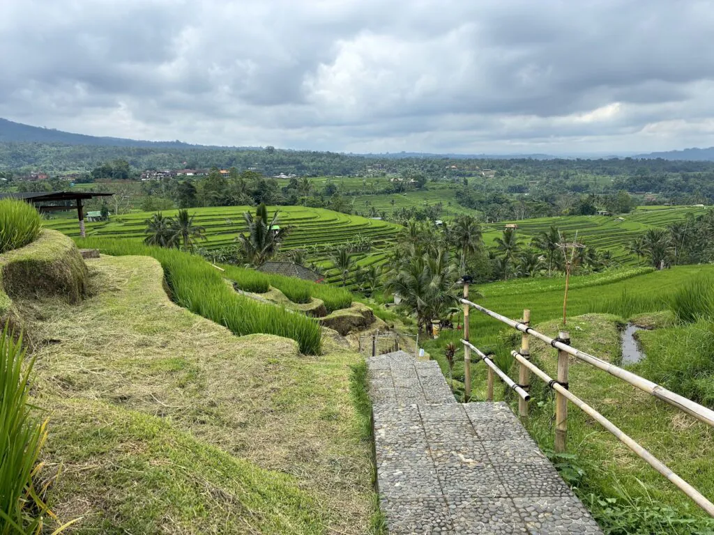 Jatiluwih