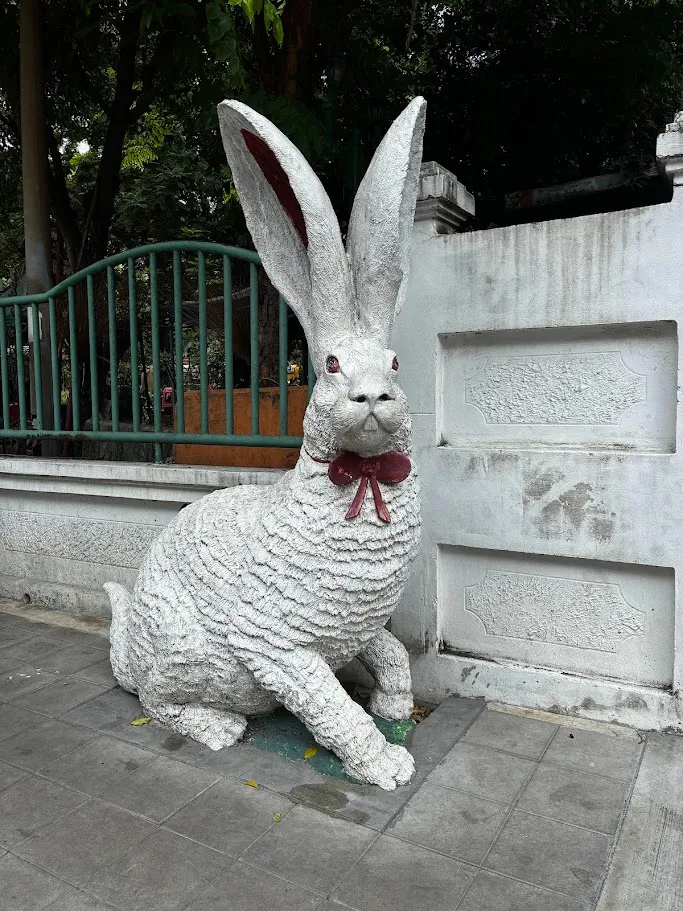 WhatsApp Image 2026-02-09 at 14.04.39