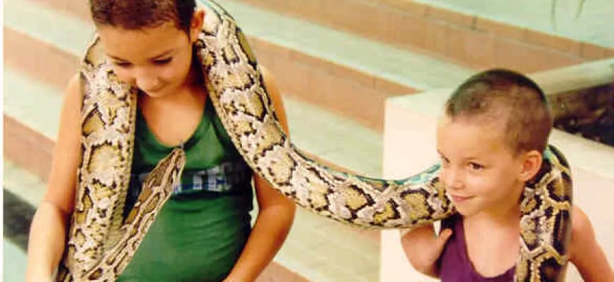 נחשו למה התאהבנו בתאילנד ?