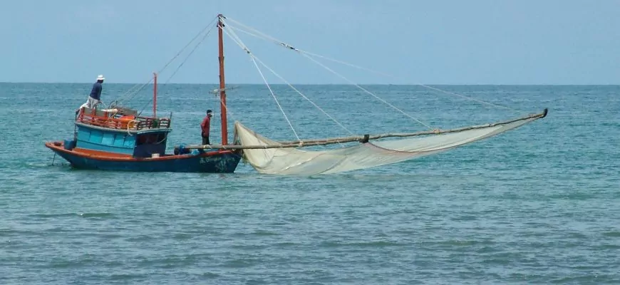 ריקוד השרימפסים : יותר טרי מטרי