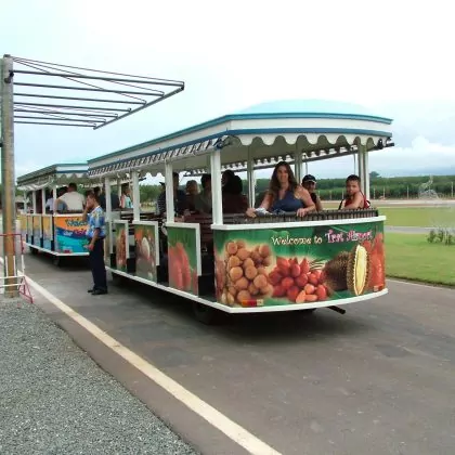 טיסות פנים בתאילנד: מי נגד מי …?