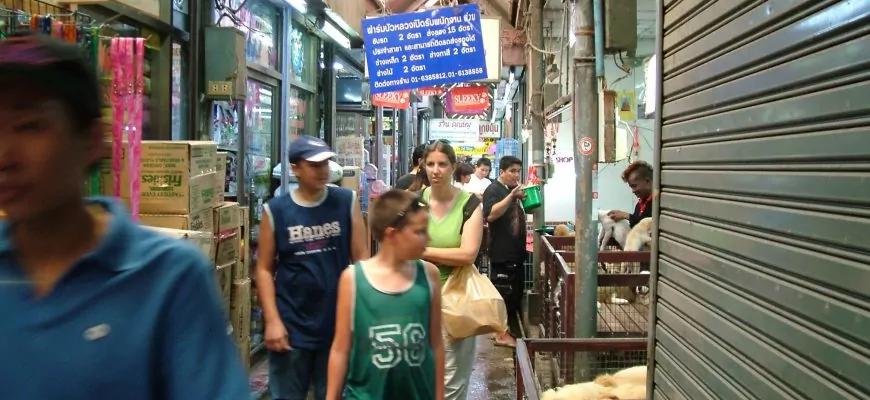 המקום שלא תרצו בשום אופן לפספס – שוק יום ראשון בבנגקוק – פוסט מעודכן נובמבר 19
