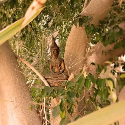 חומדים ומאמצים