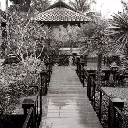 לפעמים הגשם לא במקום