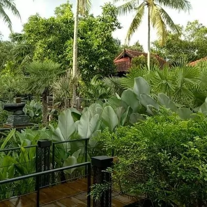 אוהבים להיות לבד במלון? לכו על צ'ומפון…