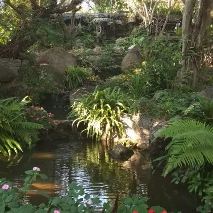 כמה נהדר היה המלון שלנו בצ'אנג ראי