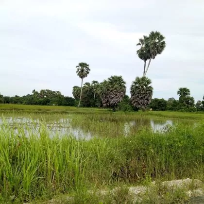 וזה מה שהוא אוהב :