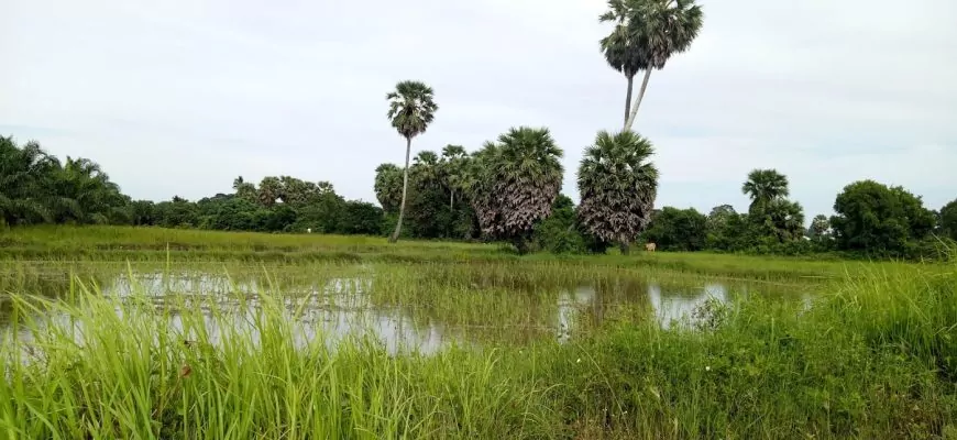 וזה מה שהוא אוהב :