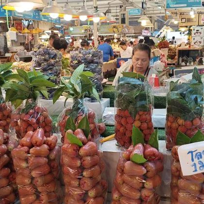 לעשות שוק ב – Or Tor Kor בנגקוק