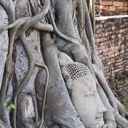 קפצנו לאיוטהאיה