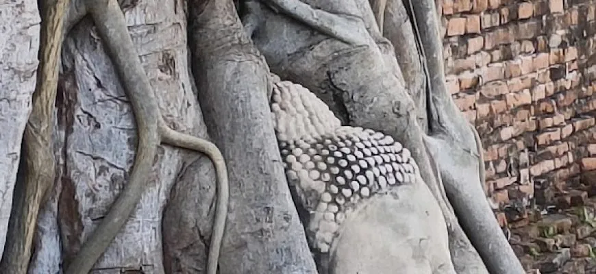 קפצנו לאיוטהאיה