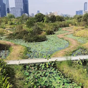 לנשום ירוק בבנגקוק: המדריך לפינות החמד הנסתרות של העיר