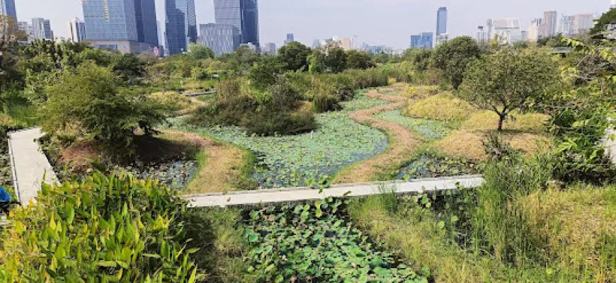 לנשום ירוק בבנגקוק: המדריך לפינות החמד הנסתרות של העיר