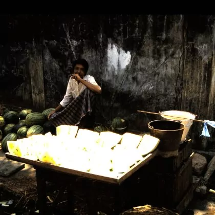 אבטיחים צהובים