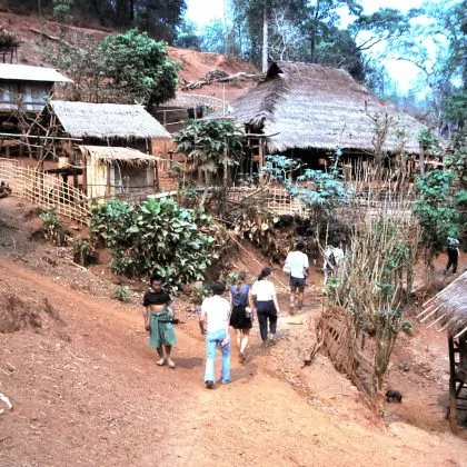מלון צמחוני בצ'אנג-מאי – לא יאומן כי יסופר