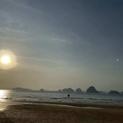 הסודות של קרבי 2020