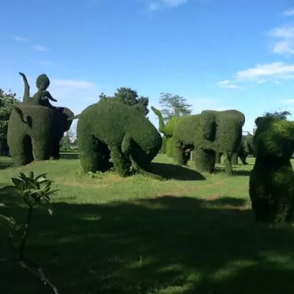 פיסול  אמנותי בשיחים  לצידי כביש 211 המקביל לחופי המקונג – לפעמים המציאות עולה על כל דמיון