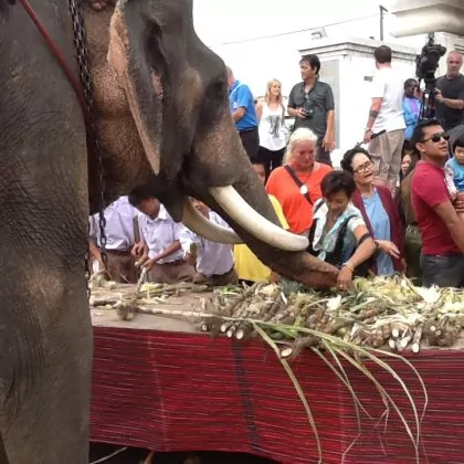 פסטיבלים בתאילנד – מי אינו אוהב פסטיבל ?