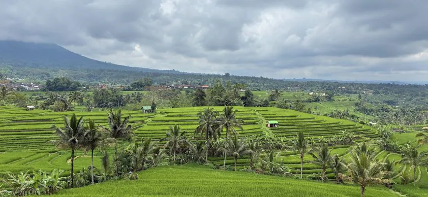 סוף סוף באלי: חלק 2 – הירוק שלא נגמר!