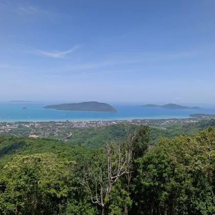 מקו לנטה – עד פוקט