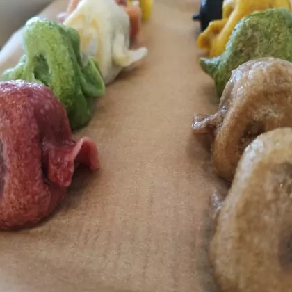 צמחונית רעבה בטוקיו