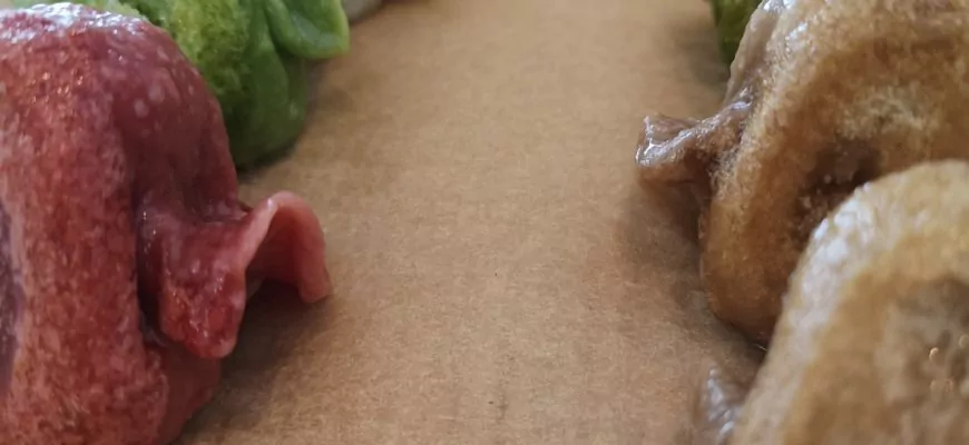 צמחונית רעבה בטוקיו