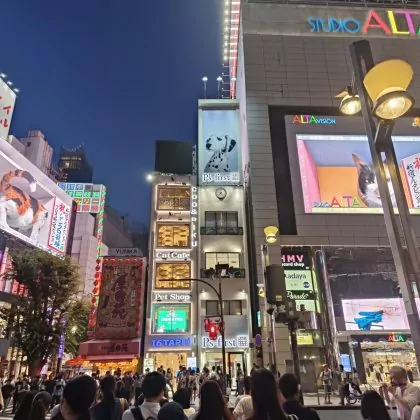 מטיילת בטוקיו