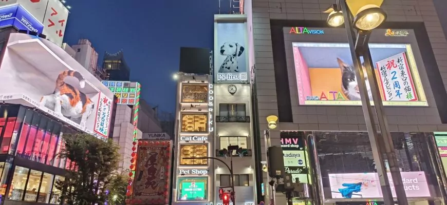 מטיילת בטוקיו