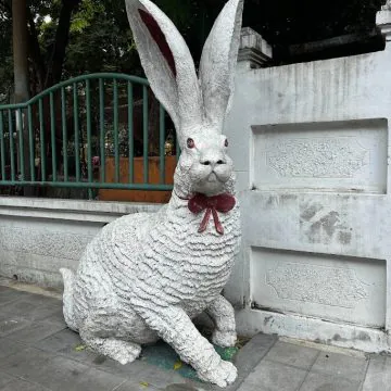 בנגקוק מחוץ למסלול: וינטג', שווקים נסתרים ואטרקציות מפתיעות. גם הילדים יהנו.